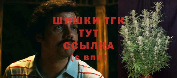 ешки Белокуриха