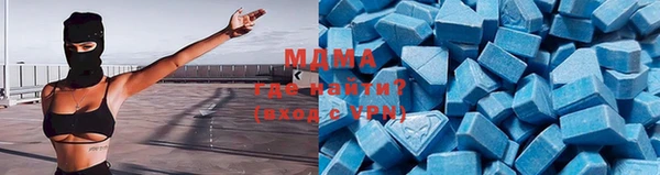 прущие грибы Богданович