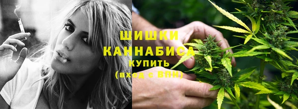 ешки Белокуриха
